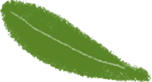 leaf1